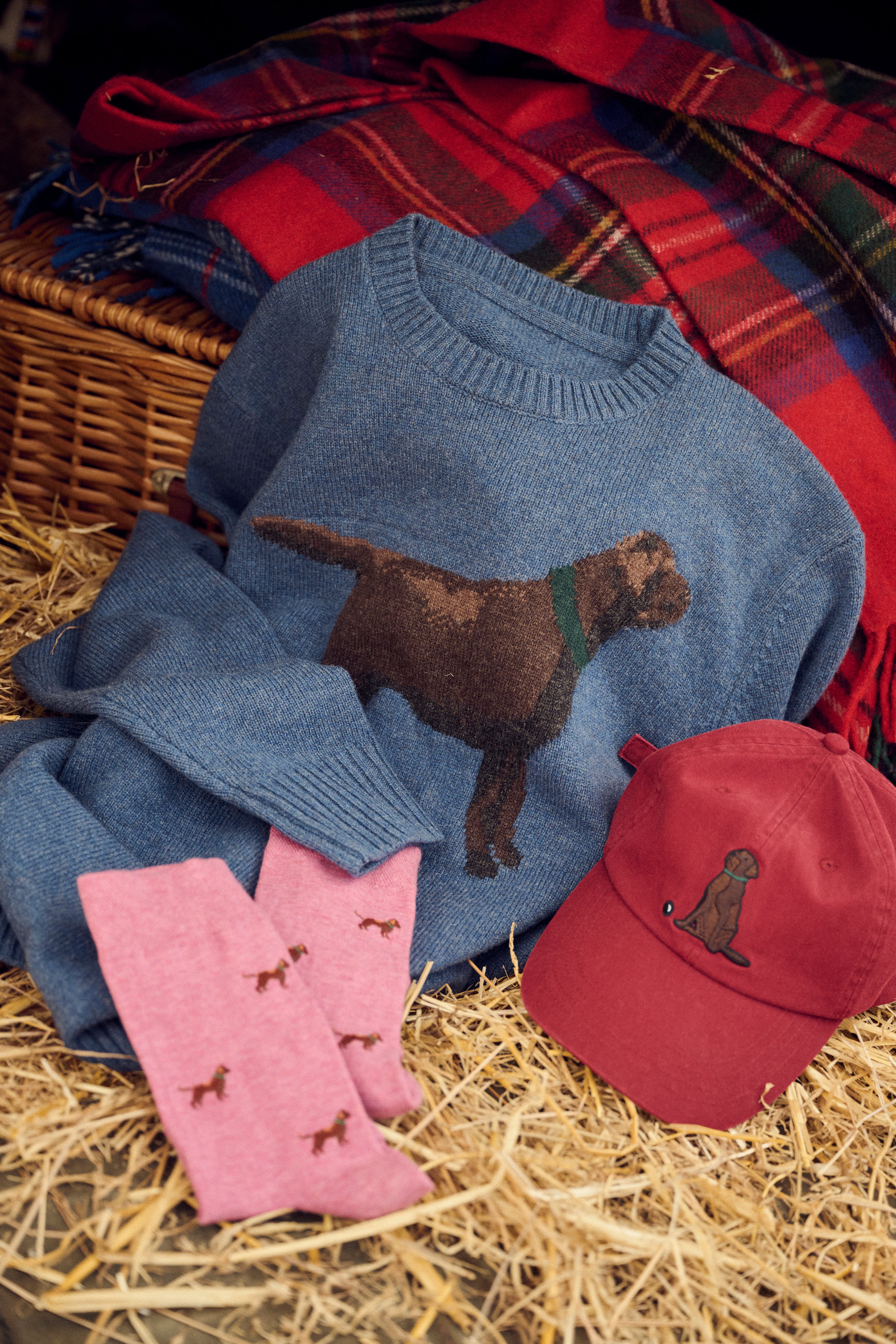 The Best Friend Jumper - Image 4